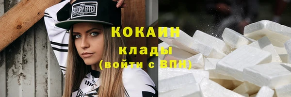 прущие грибы Дмитриев