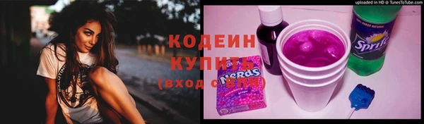 прущие грибы Дмитриев