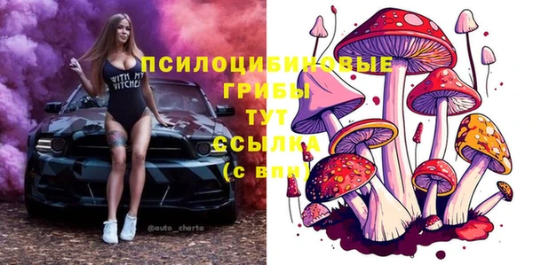 прущие грибы Дмитриев