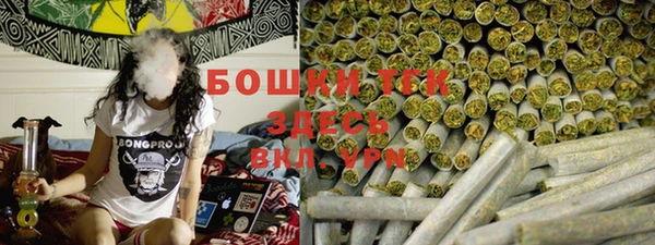 прущие грибы Дмитриев