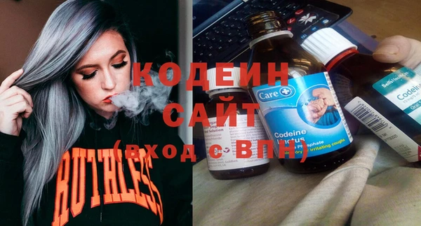прущие грибы Дмитриев