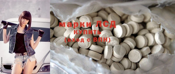 прущие грибы Дмитриев