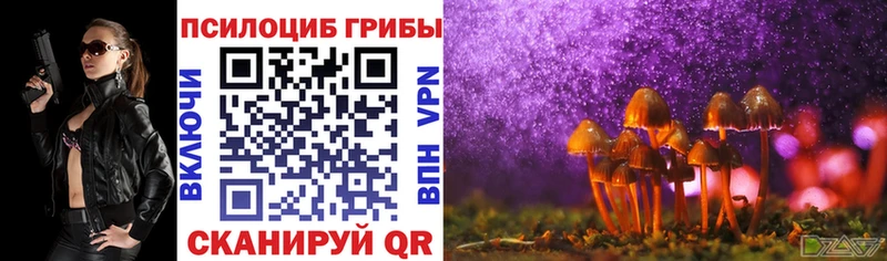 Псилоцибиновые грибы MAGIC MUSHROOMS Гдов