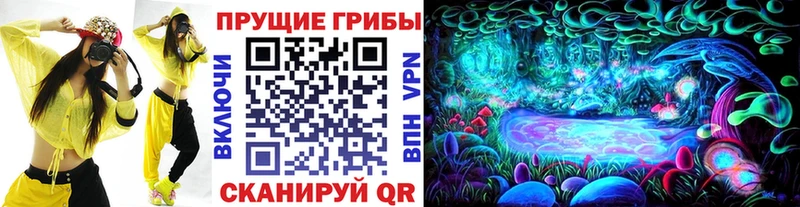 Галлюциногенные грибы GOLDEN TEACHER  Купить где  Гдов 